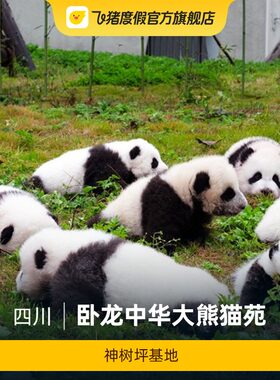 卧龙大熊猫苑神树坪