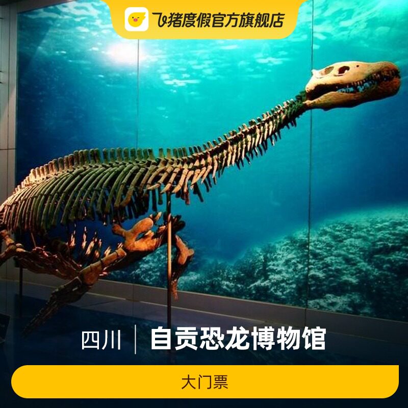 [自贡恐龙博物馆-大门票]自贡恐龙博物馆