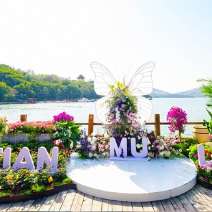 游船 大门票 天目湖山水园