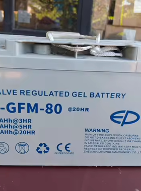 中力EP电动堆高叉车电池电动叉车电瓶蓄电池6-GFM-80电池