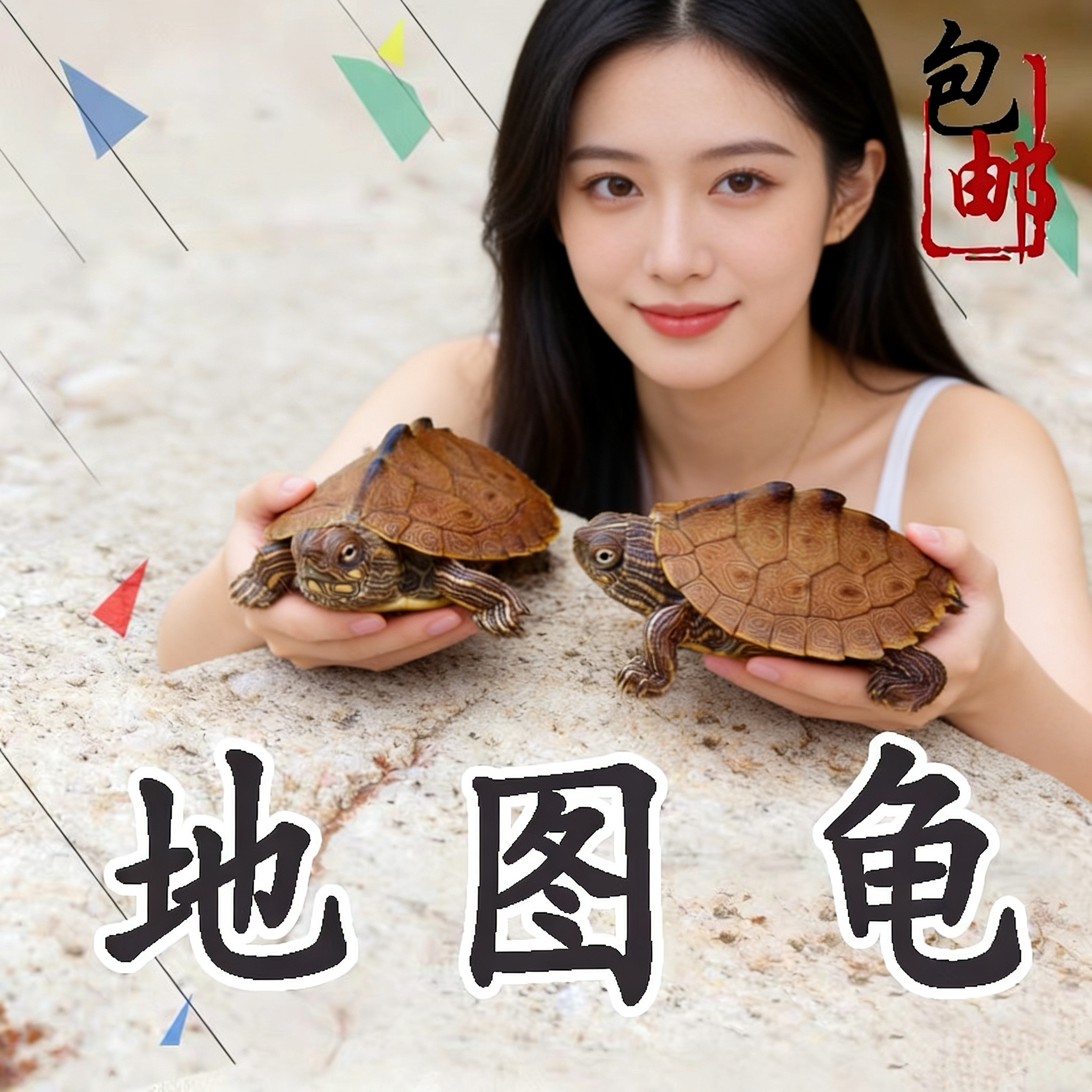 密西西比地图深水龟宠物龟鱼缸混养小乌龟活物家养黑瘤地图观赏龟,宠物/宠物食品及用品,龟/鳖,淘宝优惠券,粉丝福利购,淘宝优惠卷