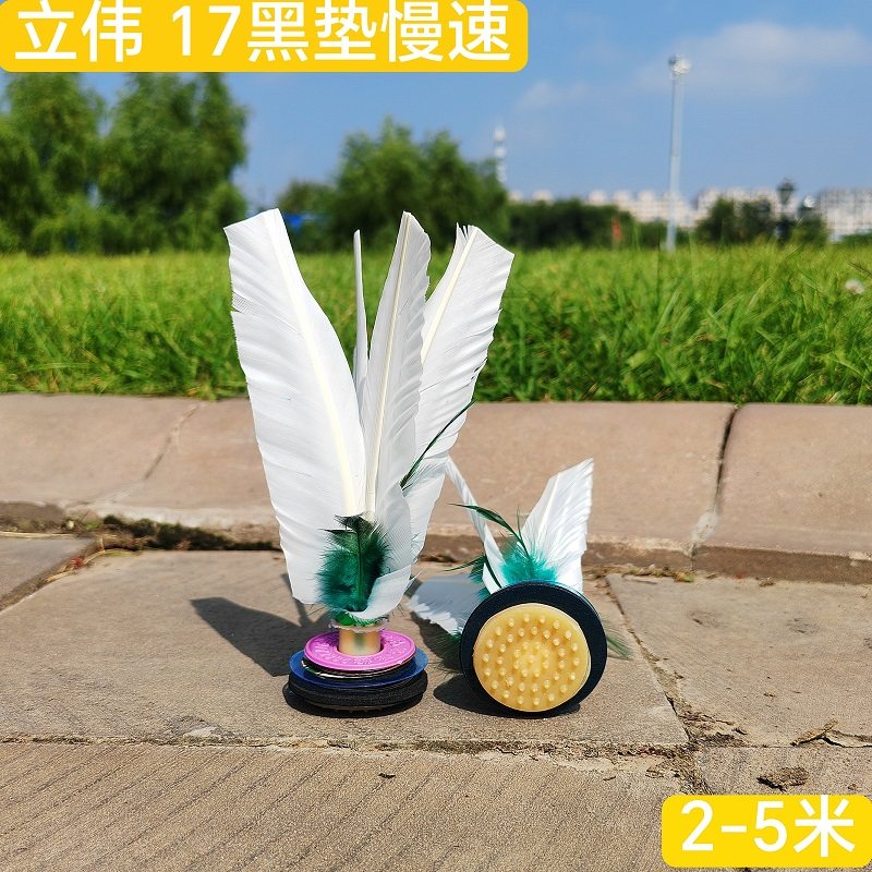 立伟毽子毽球大白毽鹅毛防风成人踢毽子比赛专用刀翎花毽60包邮