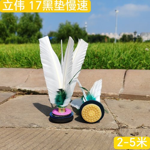 立伟毽子毽球大白毽鹅毛防风成人踢毽子比赛专用刀翎花毽60个包邮