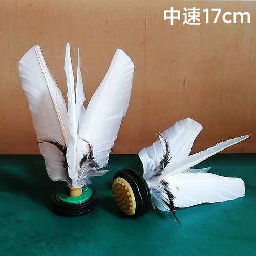 立伟大白毽子毽球毽子精品鹅毛刀翎花毽专业防风踢毽子比赛60包邮