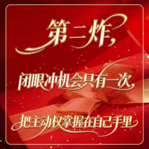 【年度宠粉节】YY90白鸭绒长款