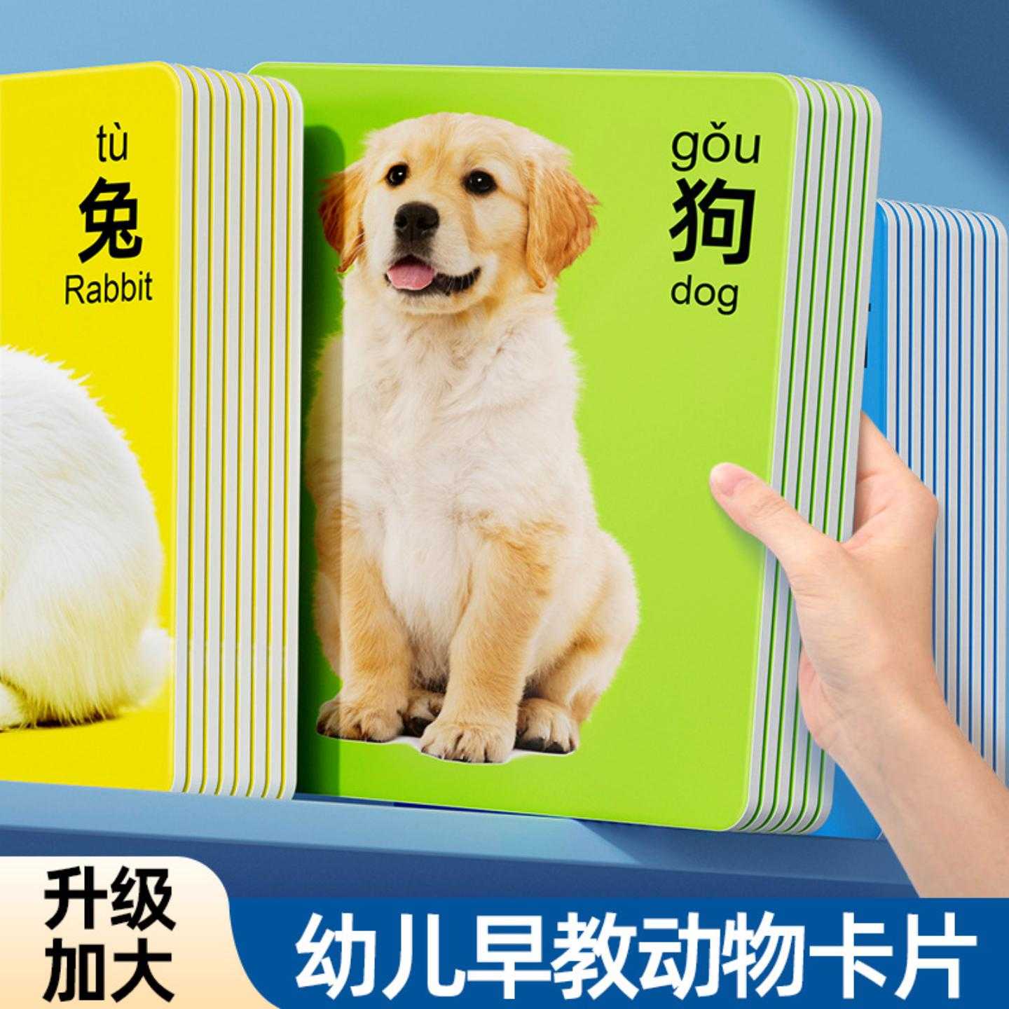 动物卡片早教认知启蒙书儿童识字