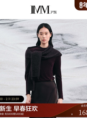 IMM尹默2025年秋雪尼尔材质肌理感长袖立领套头毛针织衫上衣女