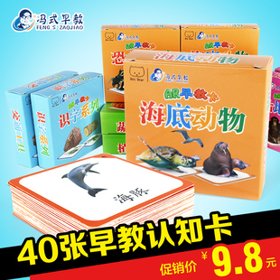 6岁全脑记忆看图认知卡片 冯式 早教婴幼儿童拼音数字识字卡片0