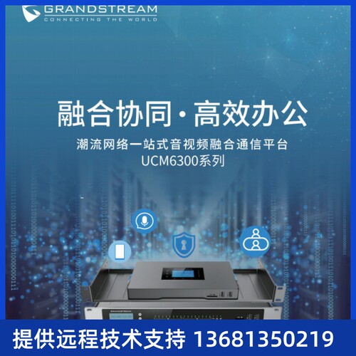 Grandstream潮流 UCM6102/UCM6200/UCM6300A IPPBX网络电话交换机