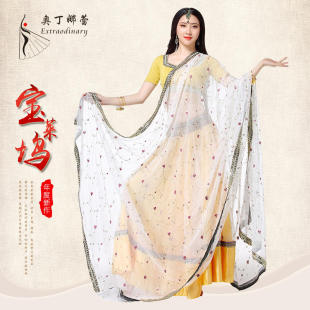 宝莱坞刺绣演出服民族舞服成人印度纱丽大摆裙表演服女