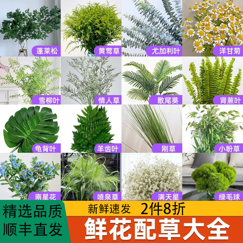 鲜花配草配花绿植插花水培植物婚庆装饰派对布置花材云南基地直发