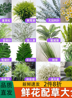 鲜花配草配花绿植插花水培植物