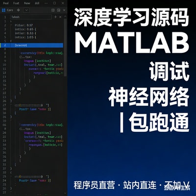 Python深度学习MATLAB代码调试神经网络图像处理源码跑通远程排错