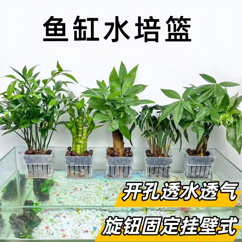 鱼缸水培植物挂篮绿植壁挂定植造景装饰支架水草种植杯旋钮固定器