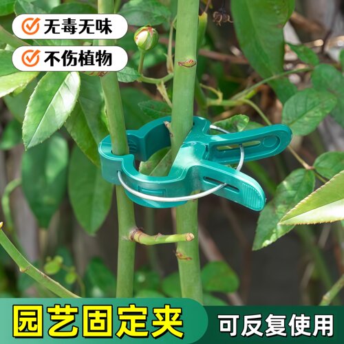 西红柿架子固定黄瓜西红柿固定夹子辣椒茄子夹支撑夹子植物夹子杆