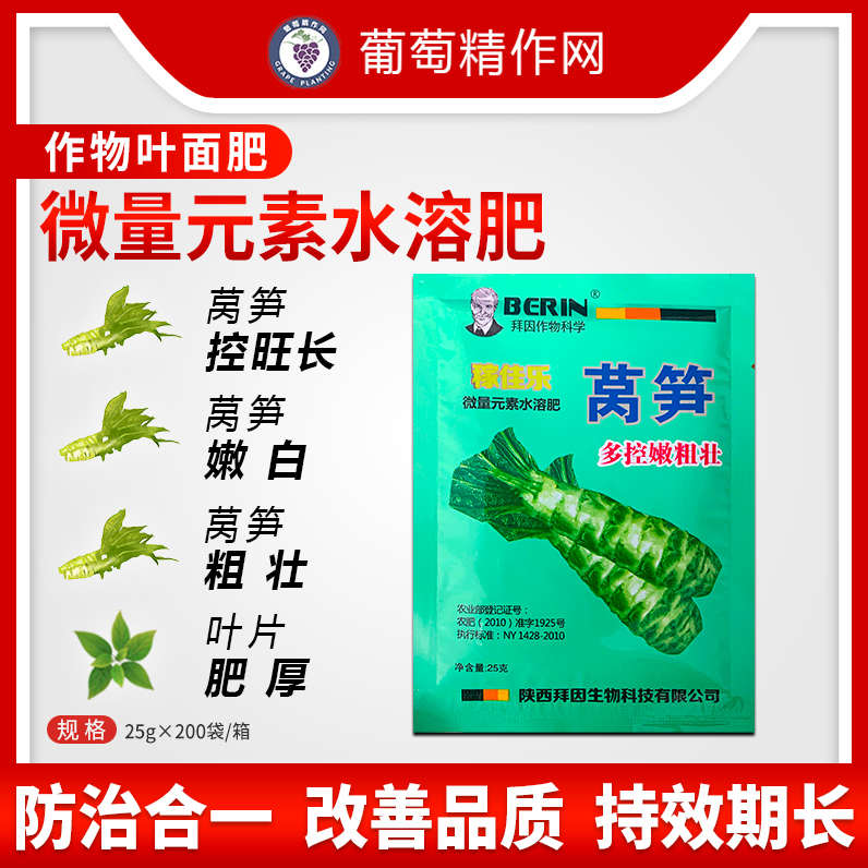 德国 拜因 莴笋多控嫩粗壮 控莴笋出苔 叶芽 防裂 延长鲜嫩期25克高清大图