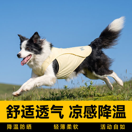 狗狗衣服夏天薄款透气防晒背心宠物金毛边牧中大型犬降温凉凉衣