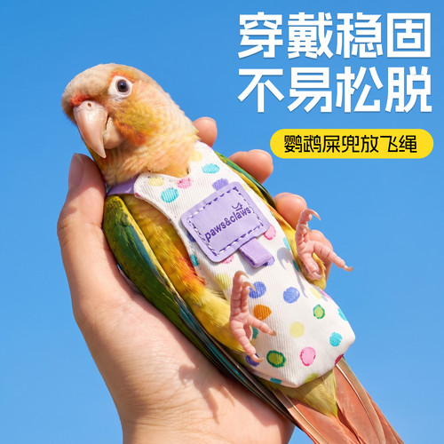 鹦鹉兜屎牵引绳一次性按扣式遛鸟