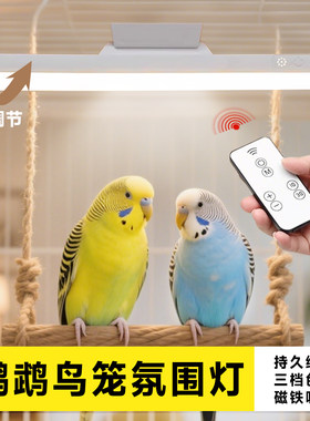 鸟笼氛围灯鹦鹉鸟笼灯照明小夜灯磁吸虎皮玄凤三档色温耐啃防炸笼