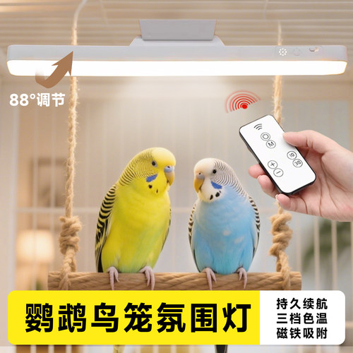 鸟笼氛围灯鹦鹉鸟笼灯照明小夜灯磁吸虎皮玄凤三档色温耐啃防炸笼