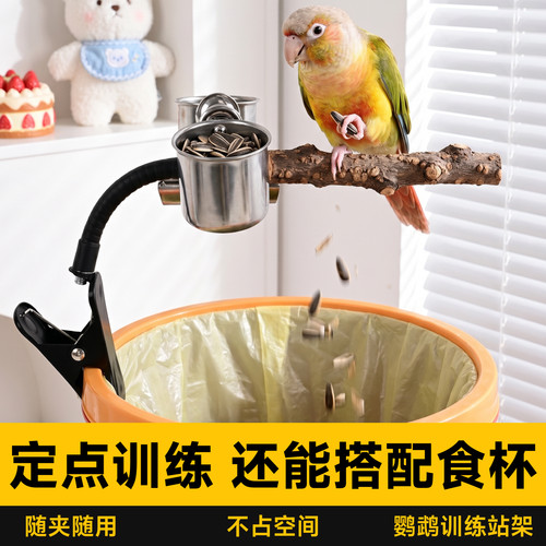 鹦鹉站杆定点排便小太阳虎皮拉屎神器鸟用垃圾桶站架磨牙棒花椒木