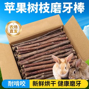 兔子磨牙棒苹果枝兔兔专用小零食新鲜可食用啃咬解闷玩具用品神器