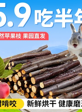兔子磨牙棒兔兔专用苹果枝侏儒兔可食用苹果树枝啃咬玩具零食木头