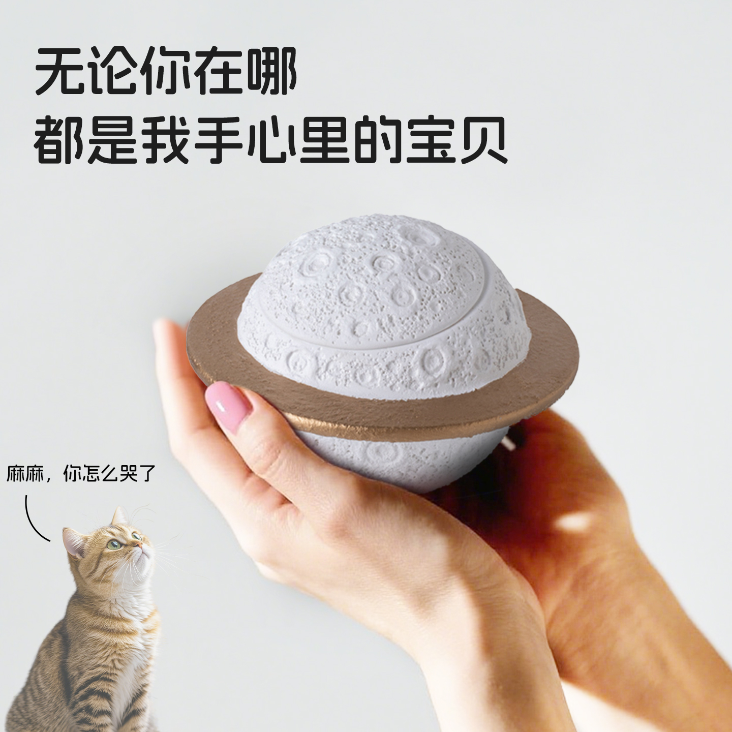 宠物骨灰盒猫咪陶瓷狗狗宠物纪念罐密封防潮火化陶瓷殡葬用品棺材