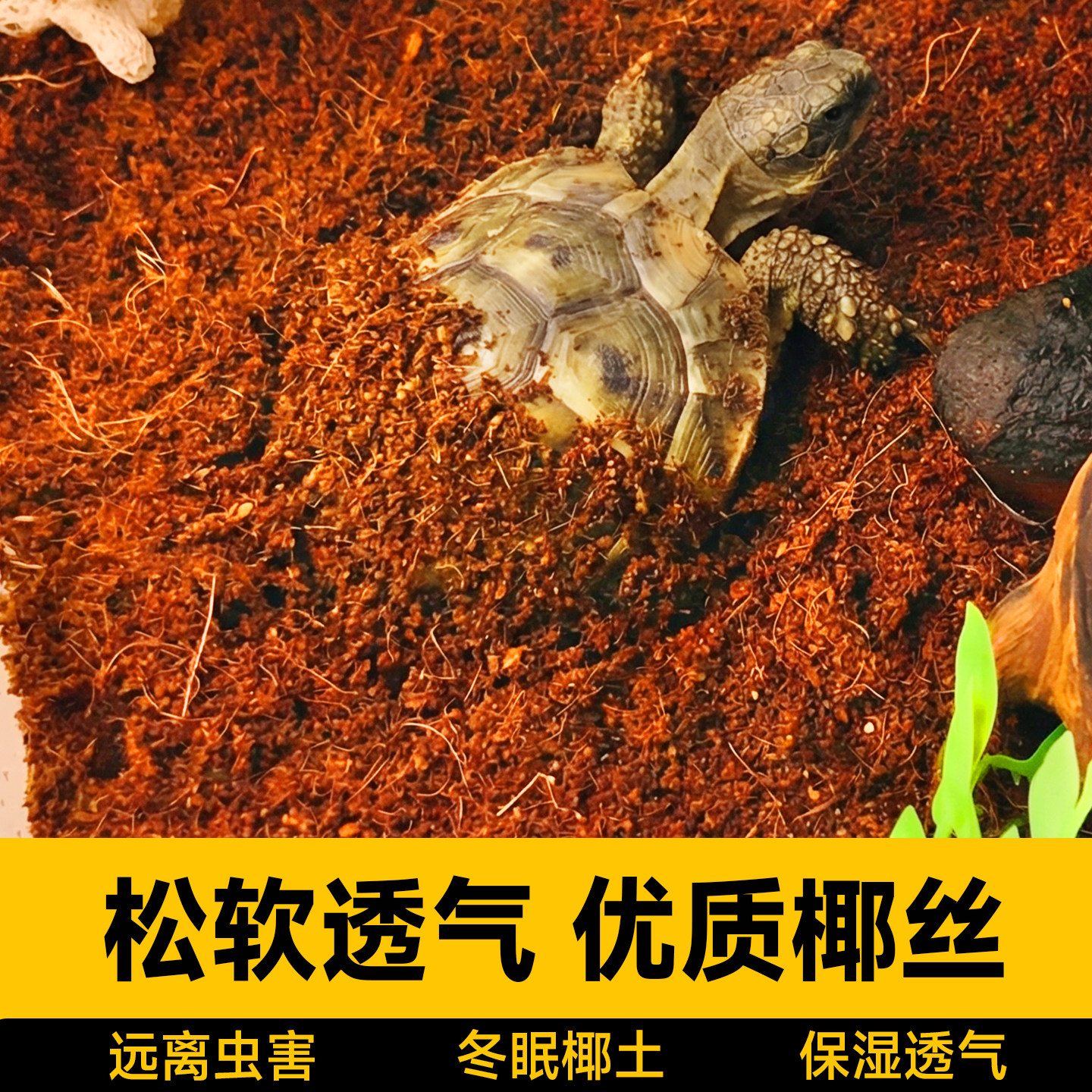 乌龟冬眠椰土专用过冬套装装备神器椰砖爬宠缸免泡型宠物饲养箱,宠物/宠物食品及用品,爬宠躲避/造景,淘宝优惠券,粉丝福利购,淘宝优惠卷