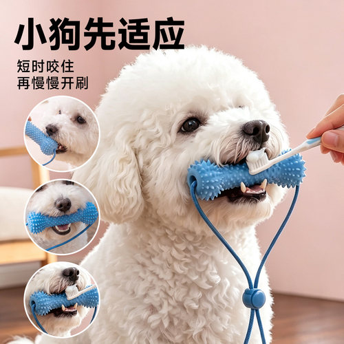 狗刷牙固定器磨牙玩具防吞咽清洁