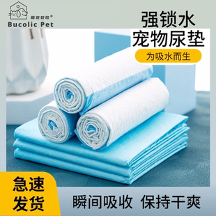 宠物狗狗尿垫猫用产褥垫猫咪生产垫子尿垫加厚除臭吸水垫护理垫