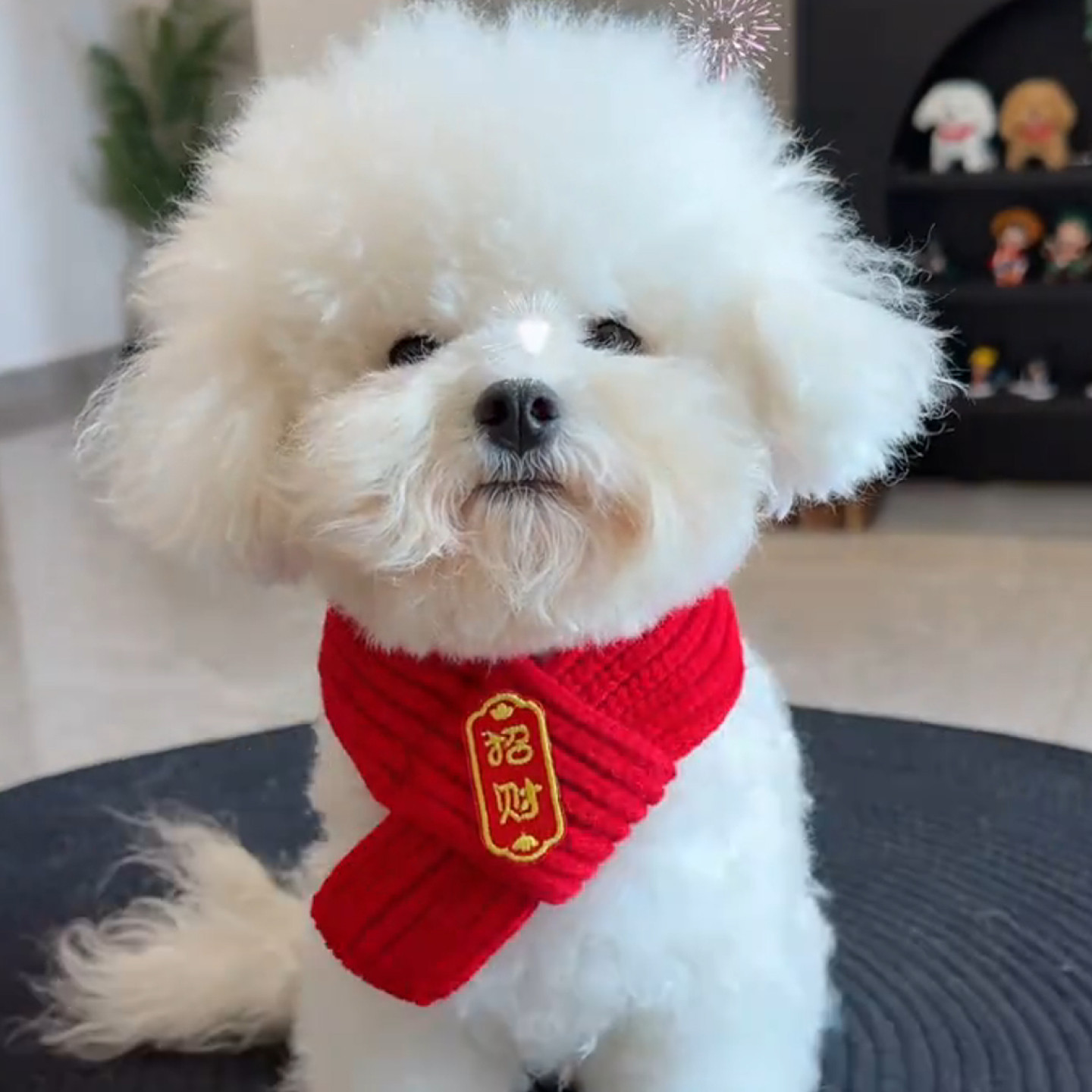 狗狗围脖小狗围兜围巾口水巾配饰小型犬比熊过年装饰红色宠物饰品,宠物/宠物食品及用品,围巾/口水巾,淘宝优惠券,粉丝福利购,淘宝优惠卷