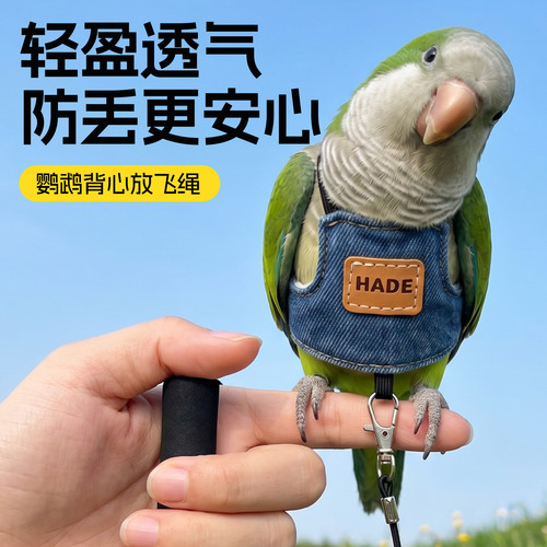 鹦鹉衣服放飞外出牵引绳遛鸟专用
