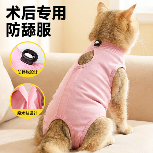 绝育服母猫专用术后服透气魔术贴猫咪断奶服手术衣防舔冬天护肚子
