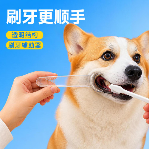 狗狗刷牙辅助器口腔清洁专用耐啃