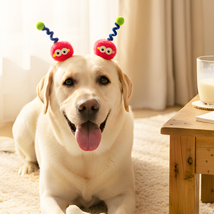 狗狗发夹头饰宠物不掉装饰夹子可爱煤球拉布拉多雪纳瑞金毛比熊