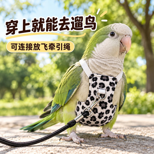 鹦鹉屎兜小鸟放飞绳牡丹玄凤和尚外出防丢牵引绳过冬加绒加厚便兜