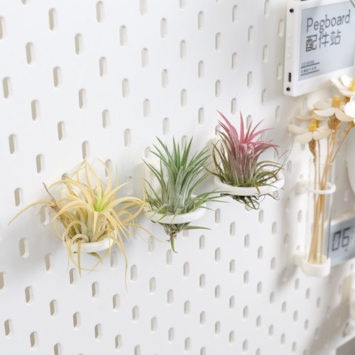 适用宜家SKADIS  斯考迪斯 宜家洞洞板配件 空气凤梨支架