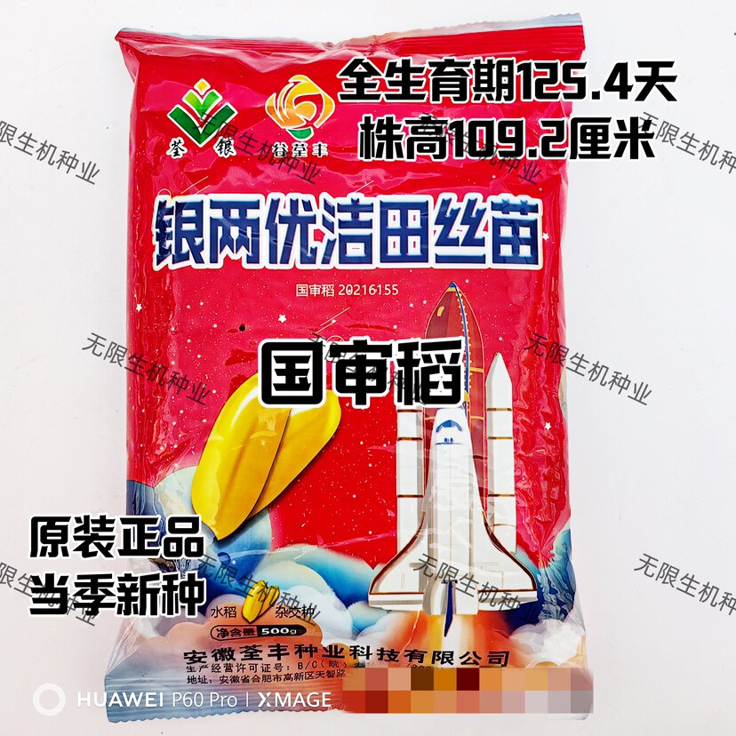 银两优洁田丝苗种子高产杂交抗倒抗病耐热穗长粒多大田水稻种籽孑