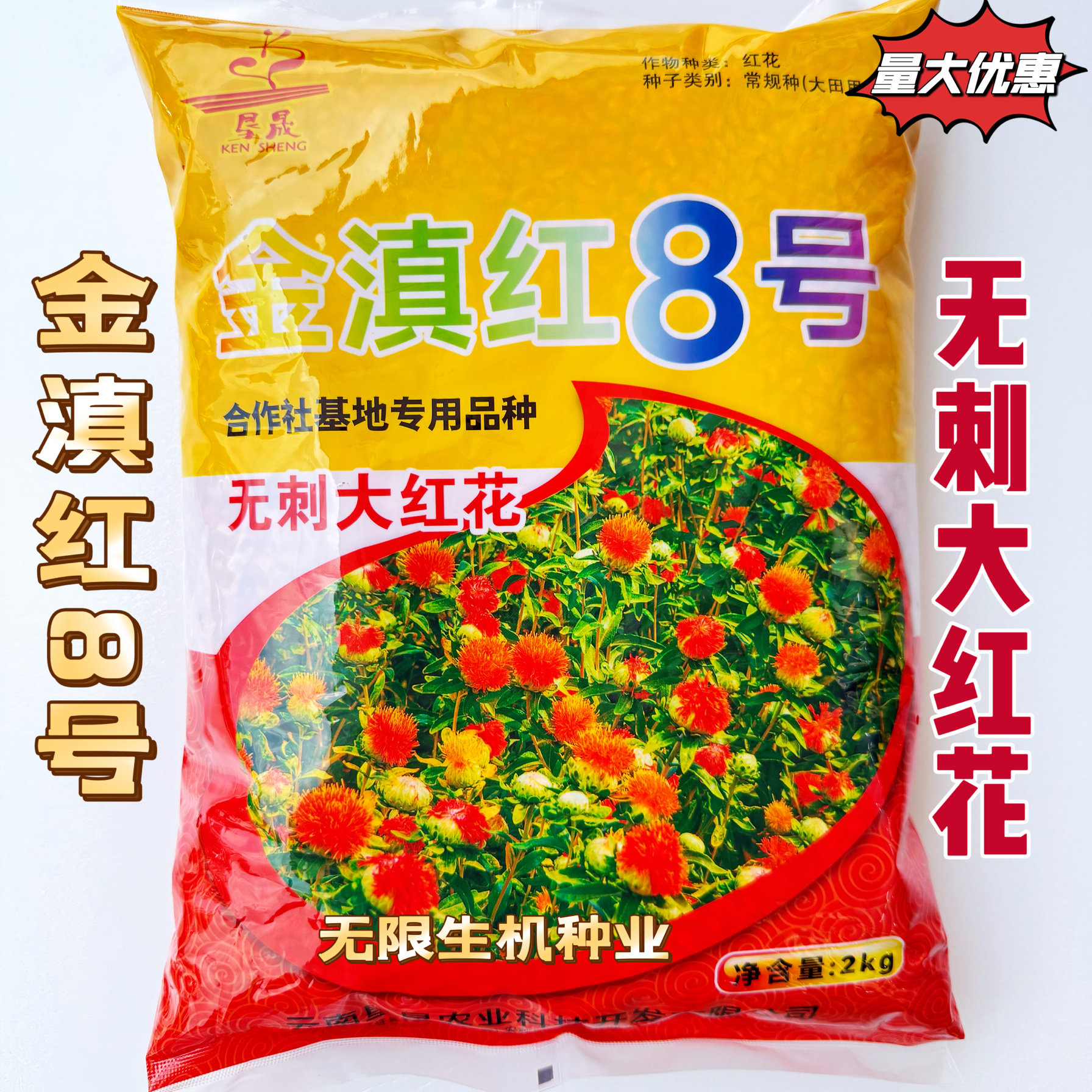 金滇红8号无刺大红花种子花朵大无刺花丝长耐寒耐瘠高产草红花种