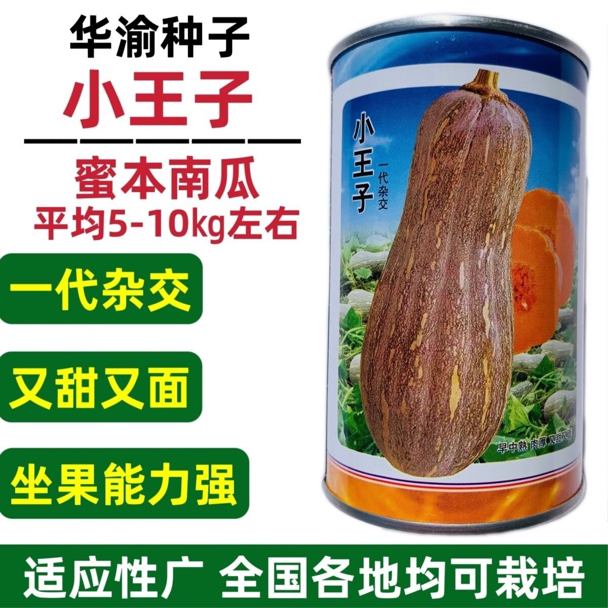 小王子蜜本南瓜种子早中熟大果蜜本又甜又面南瓜种籽高产杂交种籽