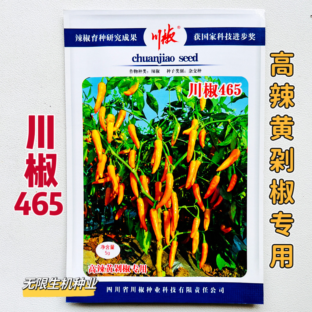 川椒465辣椒种子抗病高产香辣味浓黄剁椒种籽早熟朝地椒小米辣种