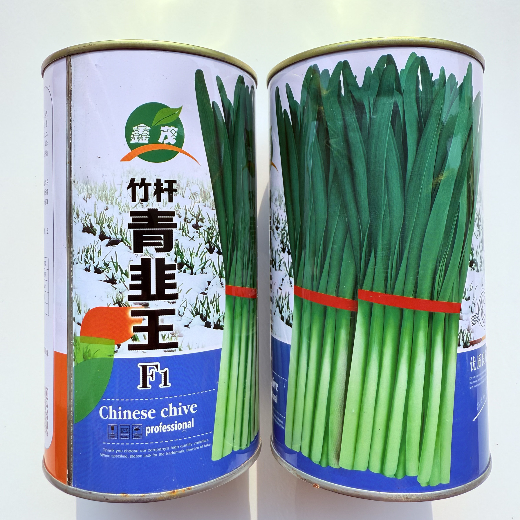 正品青韭王韭菜种子耐寒韭菜籽抗寒雪韭露地大棚露天不休眠韭菜子