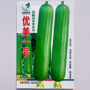 优美一号肉丝瓜种子种籽蔬菜孑油绿皮短棒丝瓜籽种水瓜南方新品种