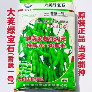 大荚绿宝石毛豆种子晚熟高产大粒绿宝石重阳豆种籽鲜食菜毛豆种籽