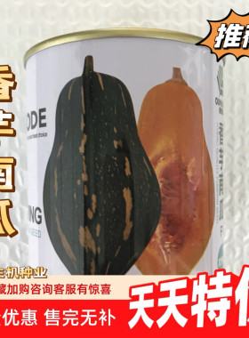 香甜茂华夏季台湾基地南瓜种子