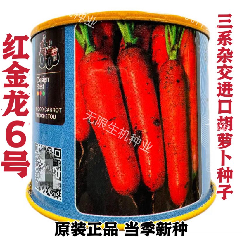 红金龙6号胡萝卜种子进口拖车头胡萝卜种籽高产春秋萝卜种籽大田