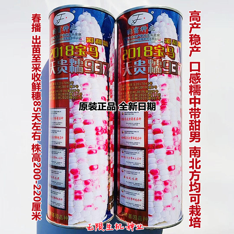 晓富春夏秋高产抗病甜糯好吃