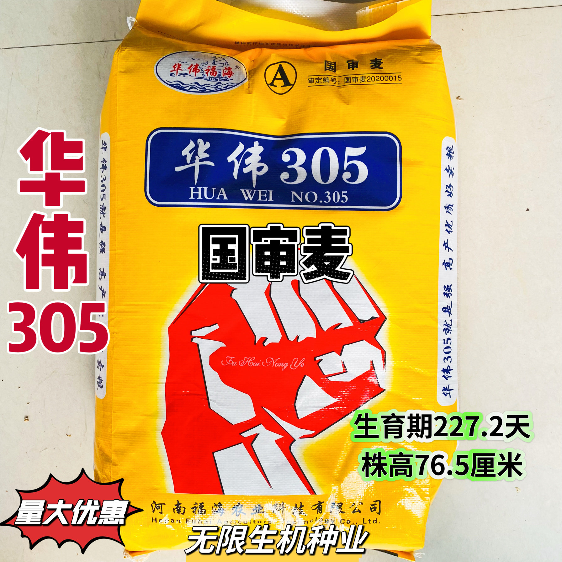 国审华伟305小麦种子矮杆抗病抗倒高产原厂原种大田用优质小麦种