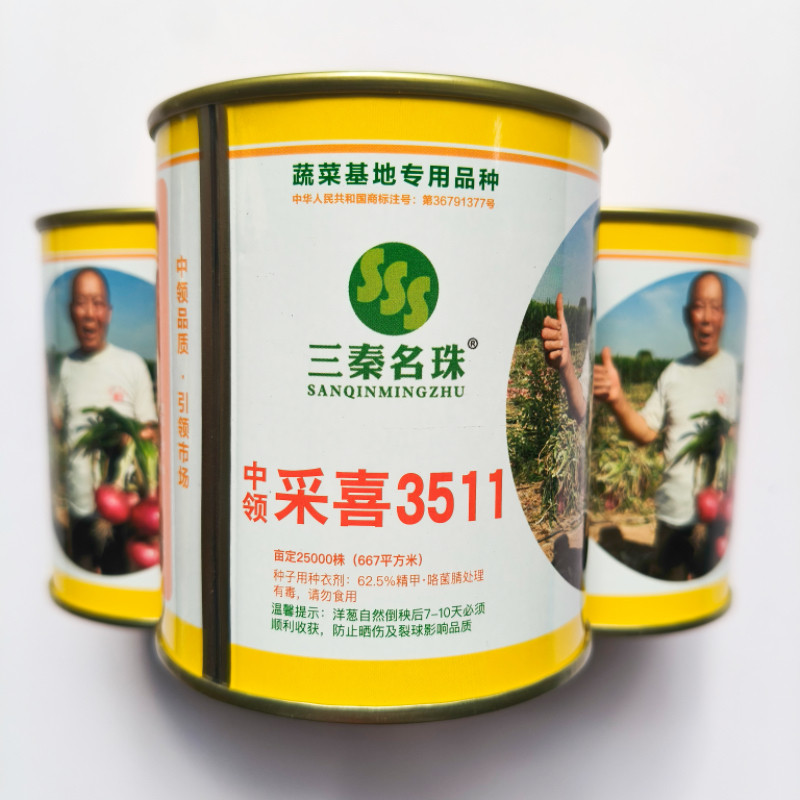 三秦名珠采喜3511洋葱种子 红皮高产圆葱籽 菜园基地秋季播种种子